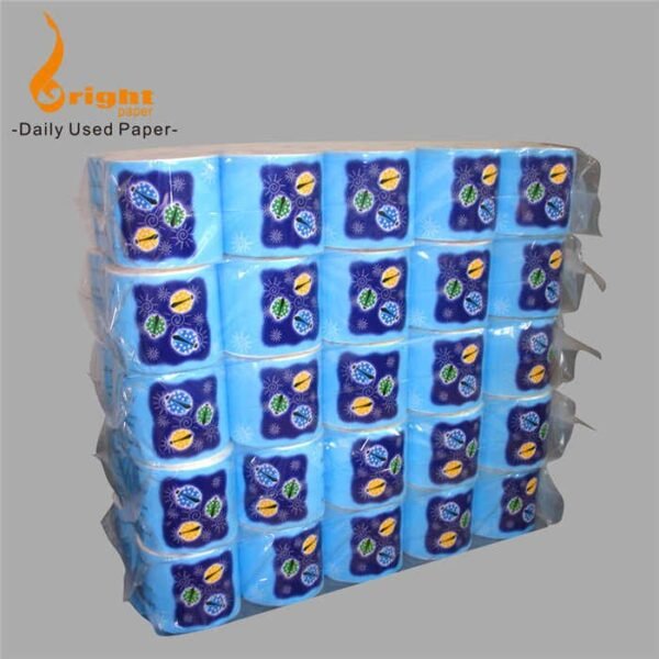 Premium Soft Toilet Paper Set