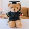 Hb800d503cfd74aec9ef9370ef51eaebe4.jpg_720x720q50.jpg Graduation Plush Teddy Bear Gift