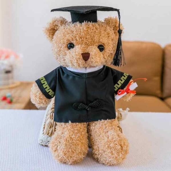 Hb800d503cfd74aec9ef9370ef51eaebe4.jpg_720x720q50.jpg Graduation Plush Teddy Bear Gift